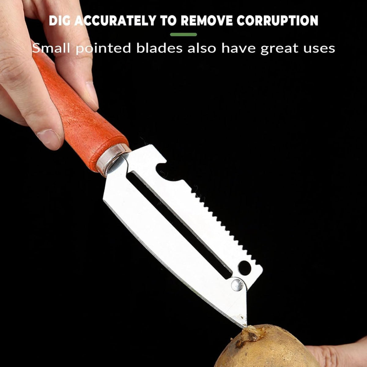 23317